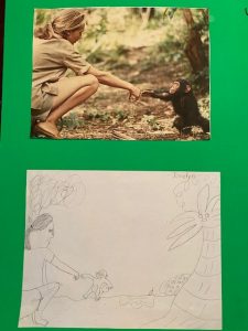 Jane Goodall Submission