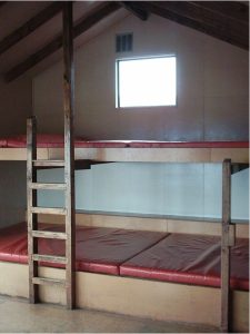 bunk beds